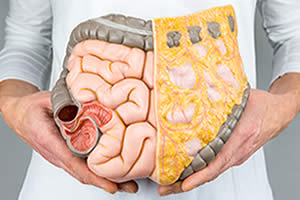 <coloproctologos en quito>